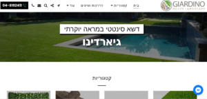 דוגמה לעיצוב אתר בחינם